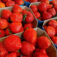 Erdbeeren im Hofladen